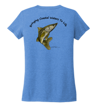 Load image into Gallery viewer, Ocean Habitats &amp; Colin Thompson Collaboration - Women&#39;s V-neck T-shirt in Sky Blue