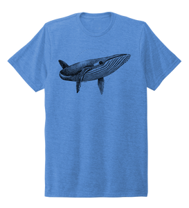 STYNGVI, Humpback Whale, Unisex Crew Neck T-shirt in Sky Blue