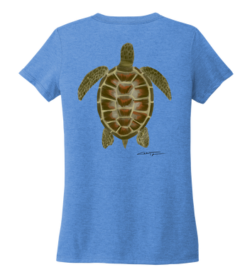 Colin Thompson, Turtle, Women's V-neck T-shirt in Sky Blue