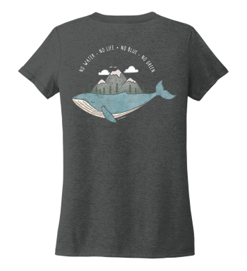 STYNGVI, No Water-No Life-No Blue-No Green, Women's V-neck T-shirt in Slate Black