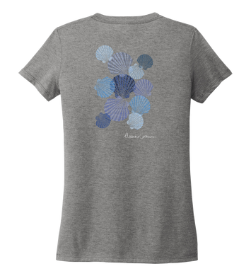 Alexandra Catherine, Tossed Seashells, Women's V-neck T-shirt in Oyster Grey
