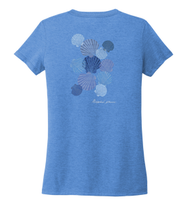 Alexandra Catherine, Tossed Seashells, Women's V-neck T-shirt in Sky Blue