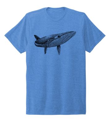 STYNGVI, Humpback Whale, Unisex Crew Neck T-shirt in Sky Blue