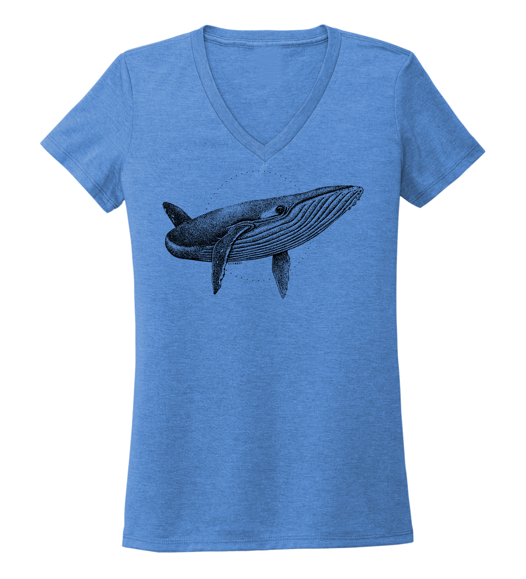 STYNGVI, Humpback Whale, Women's V-neck T-shirt in Sky Blue